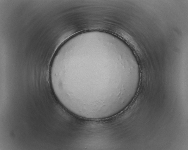 X0000116421234200912291842