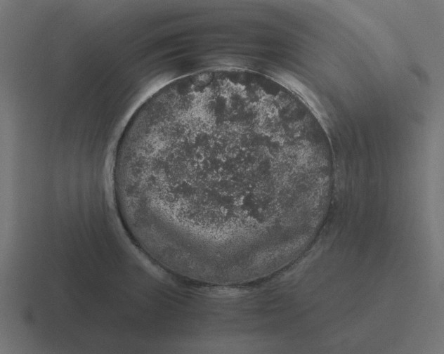 X0000116421235200912291842