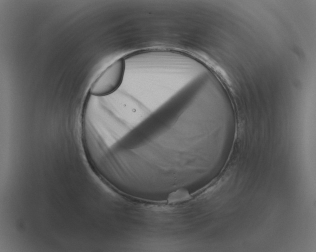 X0000116421239200912291842