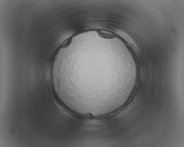 X0000116421241200912291842
