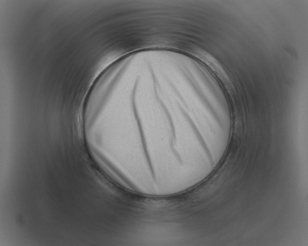 X0000116421242200912291842