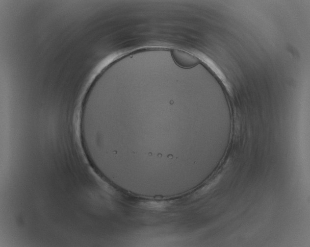 X0000116421245200912291842