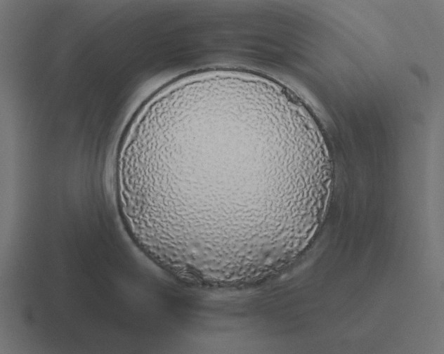X0000116421247200912291842
