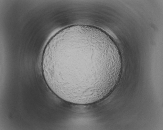 X0000116421248200912291842