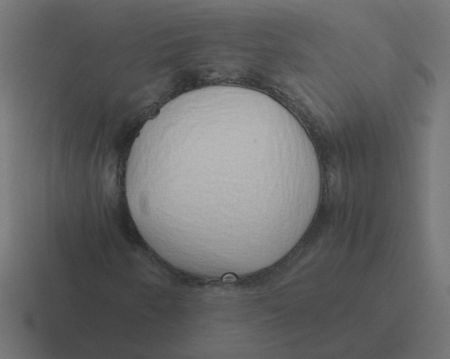 X0000116421250200912291842