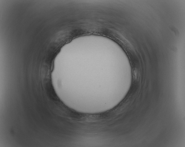 X0000116421251200912291842