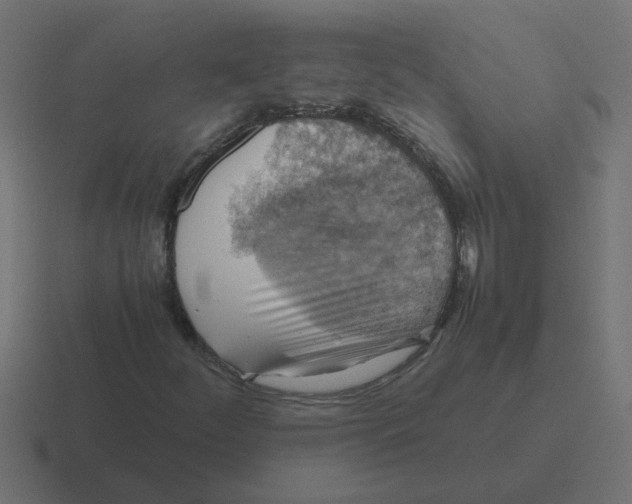 X0000116421252200912291842