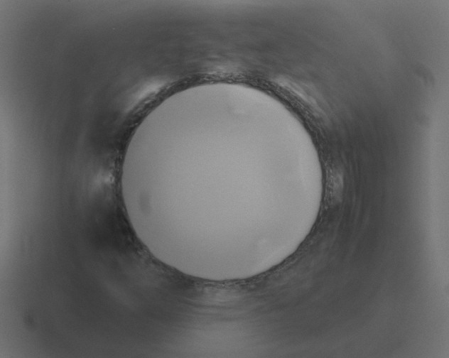 X0000116421254200912291842