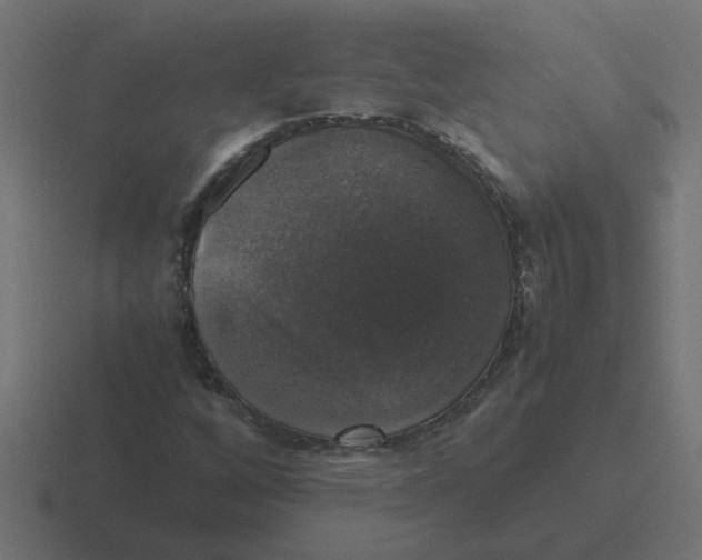 X0000116421256200912291842
