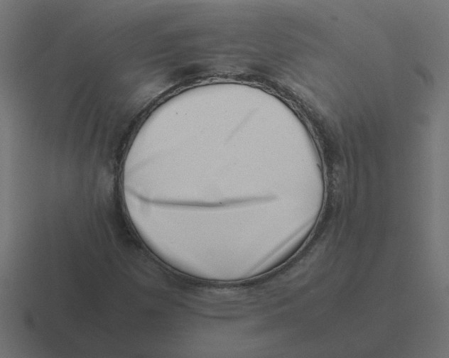X0000116421257200912291842