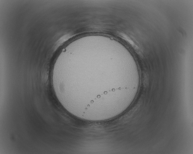X0000116421259200912291842