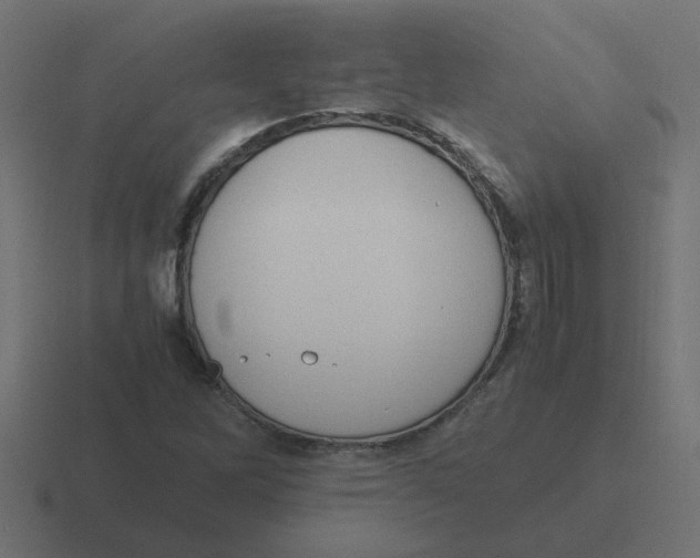 X0000116421262200912291842