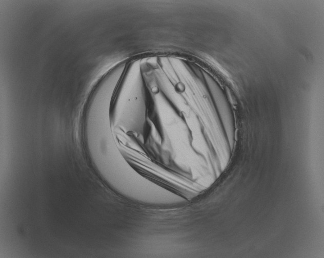 X0000116421269200912291842