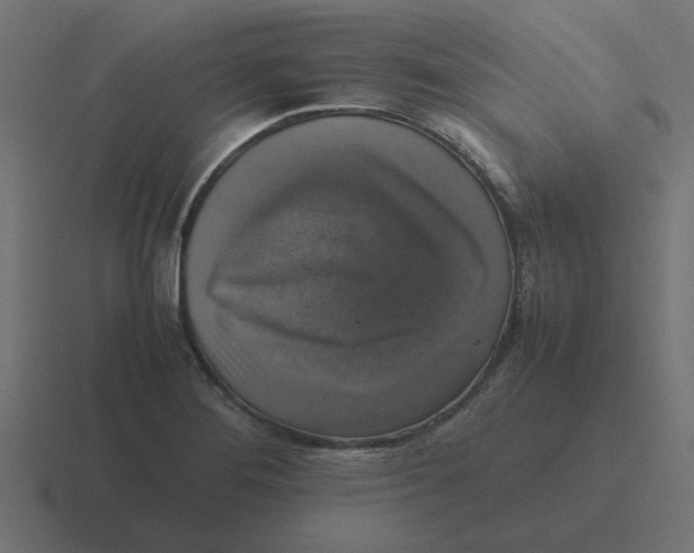 X0000116421276200912291841