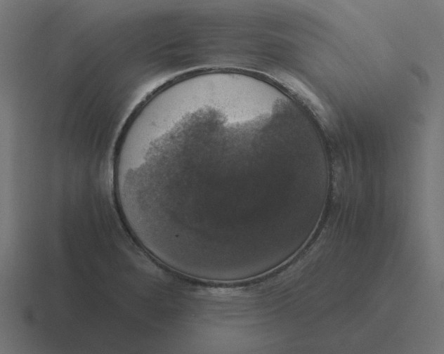 X0000116421280200912291841
