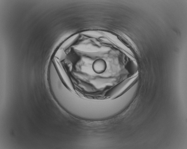 X0000116421285200912291841