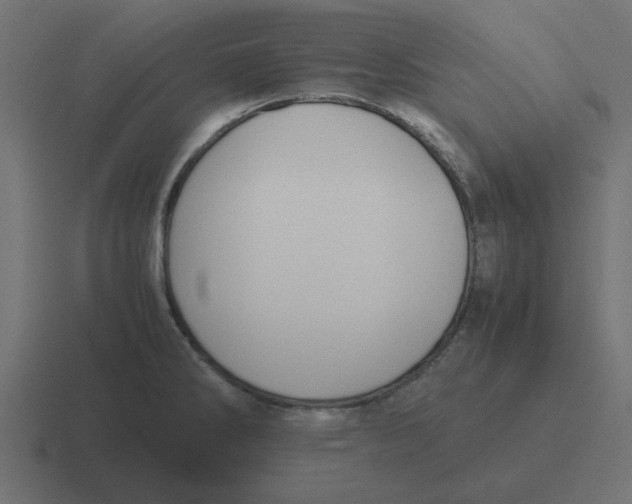 X0000116421286200912291841