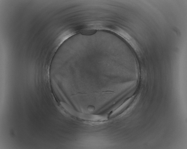 X0000116421289200912291841