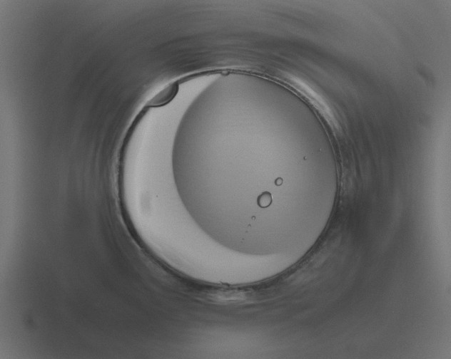 X0000116421291200912291841