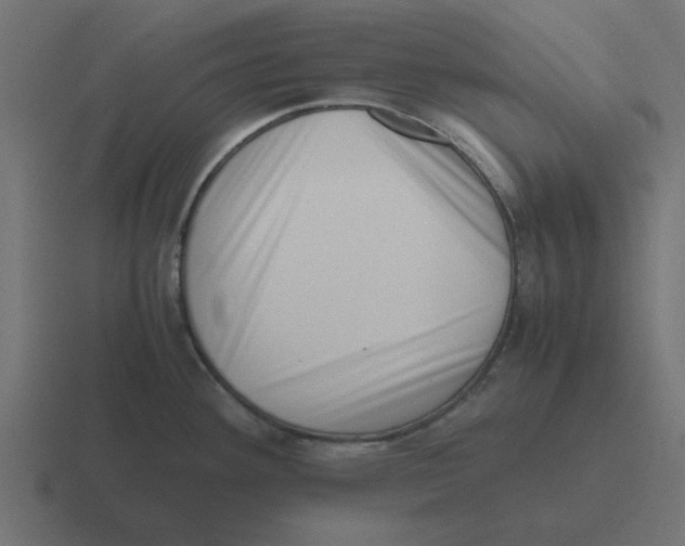 X0000116421292200912291841