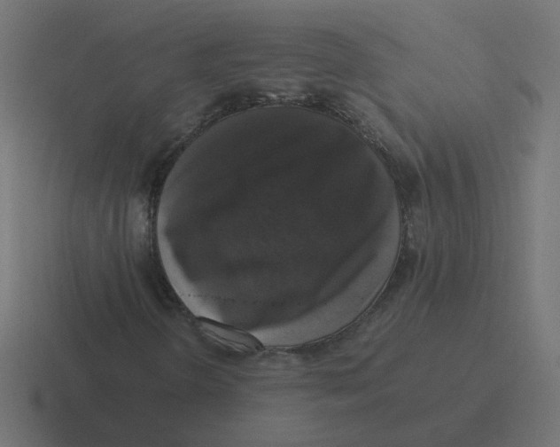 X0000116421298200912291841