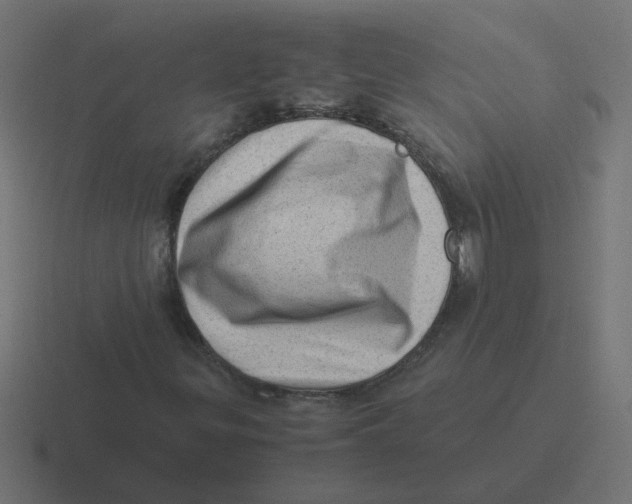X0000116421299200912291841