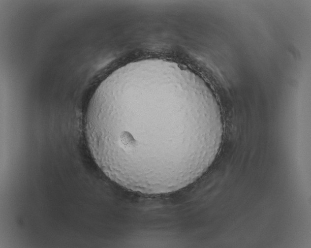 X0000116421301200912291841