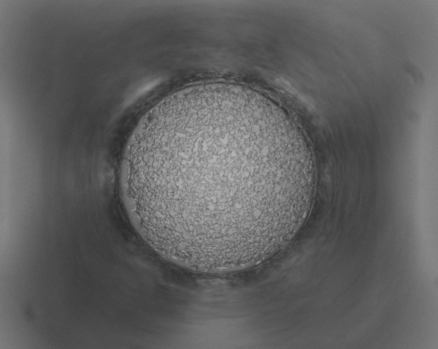X0000116421302200912291841