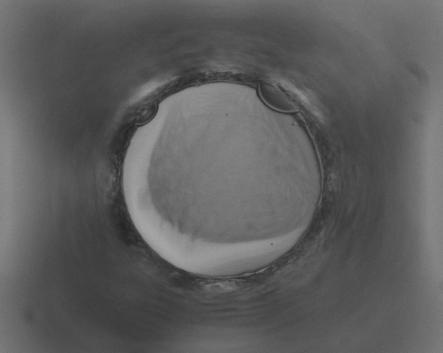 X0000116421303200912291841