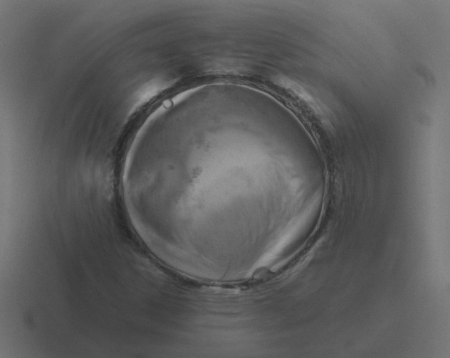 X0000116421306200912291841