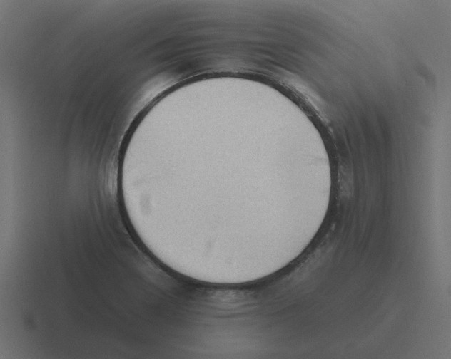 X0000116421322200912291841
