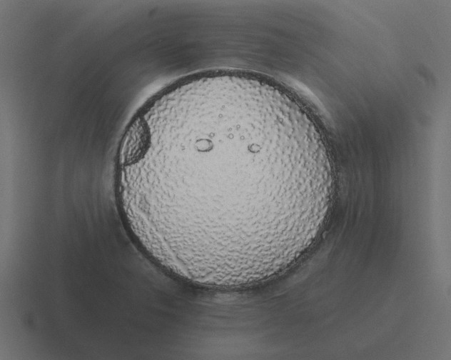 X0000116421326200912291841