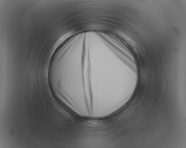 X0000116421330200912291841