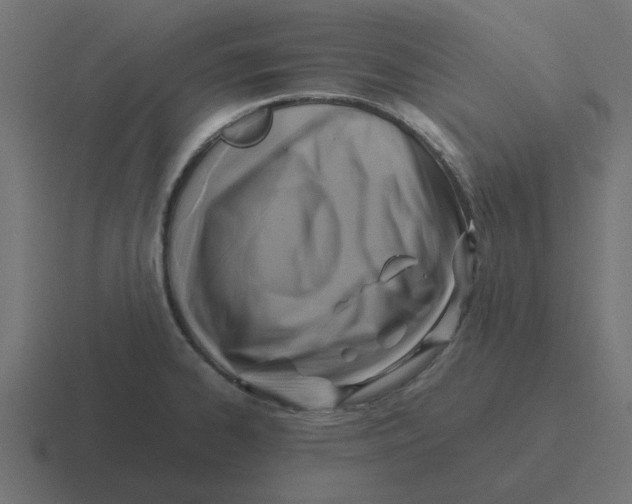 X0000116421334200912291841