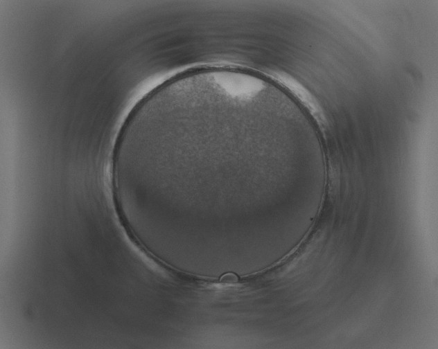 X0000116421335200912291841