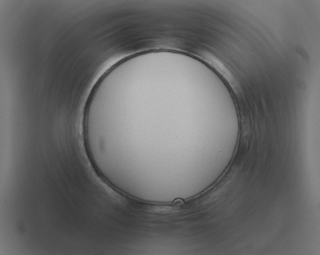 X0000116421339200912291841
