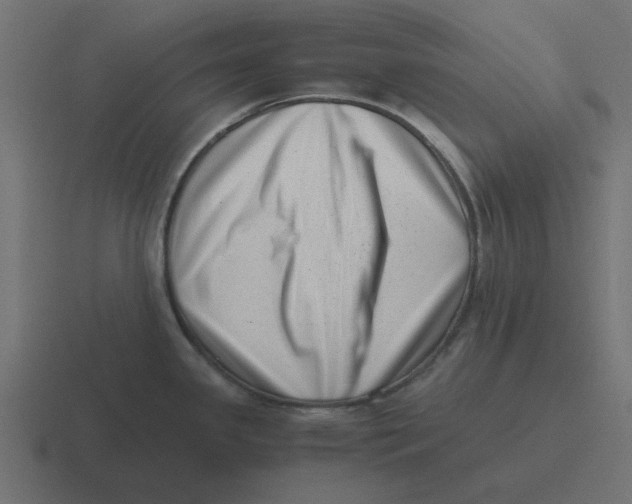 X0000116421341200912291841