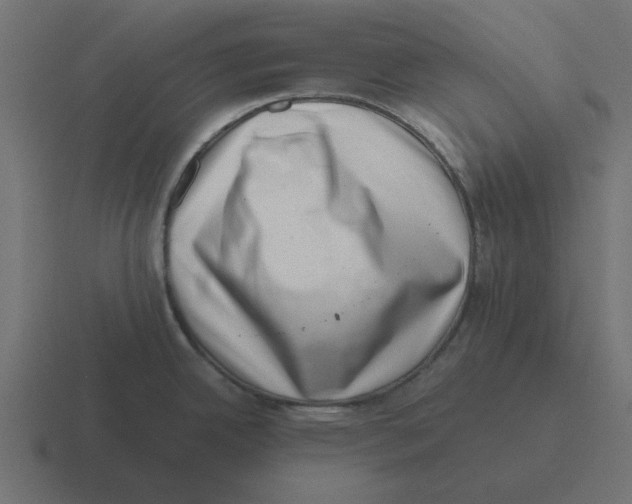 X0000116421342200912291841