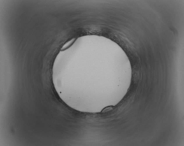 X0000116421345200912291841
