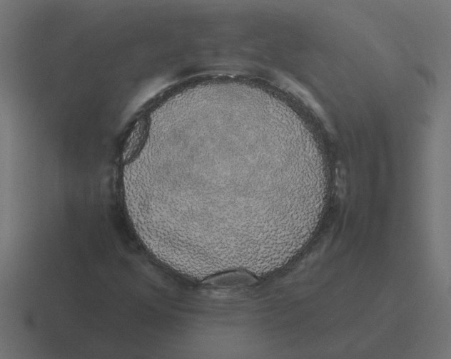 X0000116421352200912291840