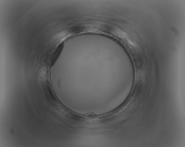 X0000116421353200912291840