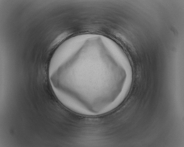 X0000116421354200912291840