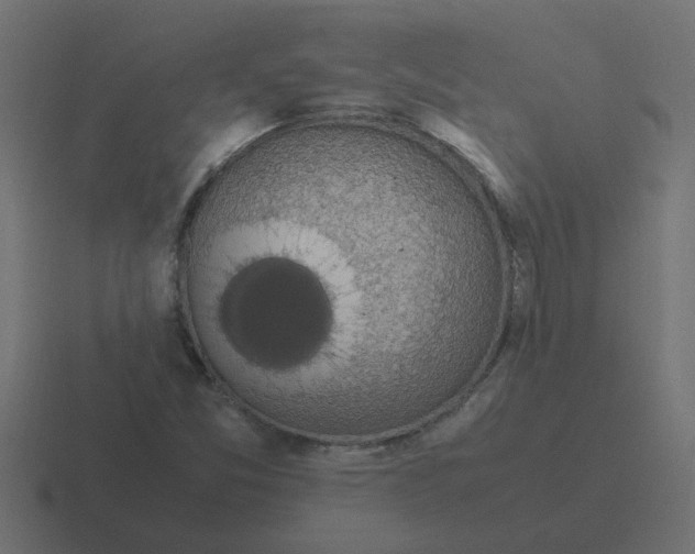 X0000116421357200912291840