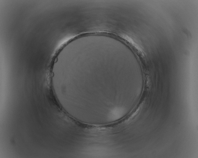 X0000116421358200912291840