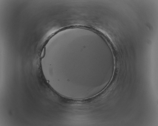 X0000116421359200912291840