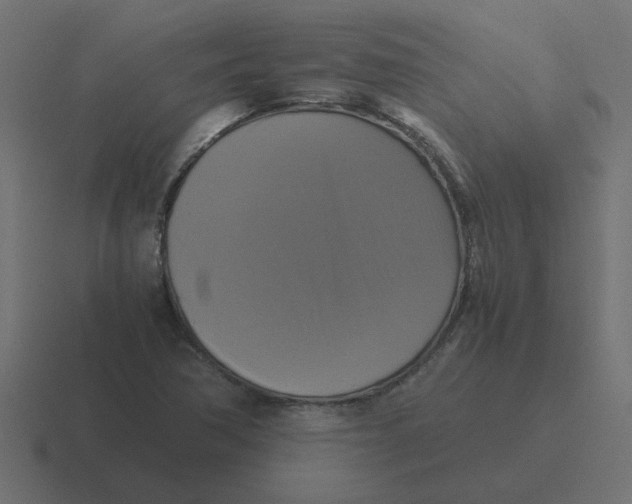 X0000116421362200912291840