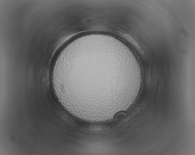 X0000116421364200912291840