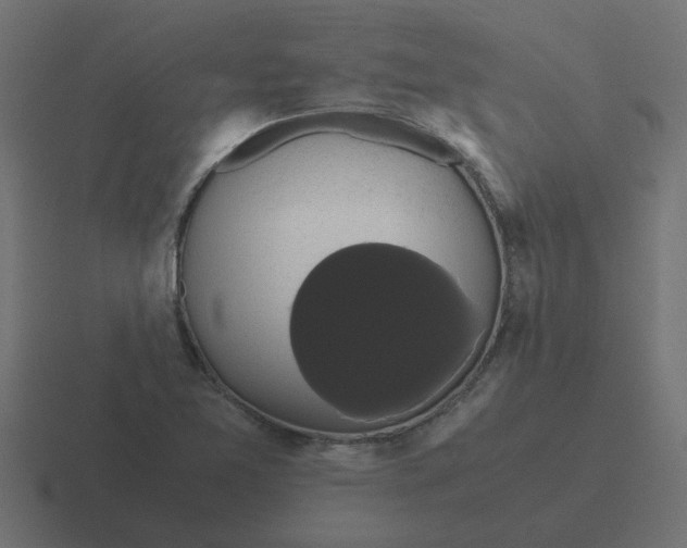 X0000116421365200912291840
