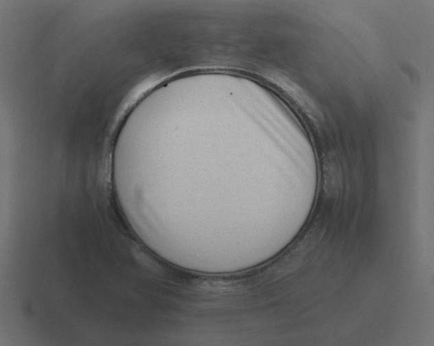 X0000116421366200912291840
