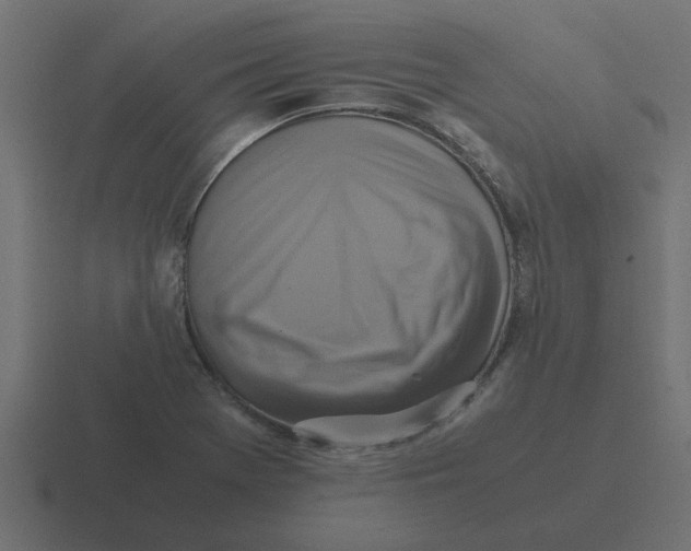 X0000116421369200912291840